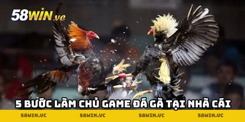 5 bước làm chủ game đá gà tại nhà cái