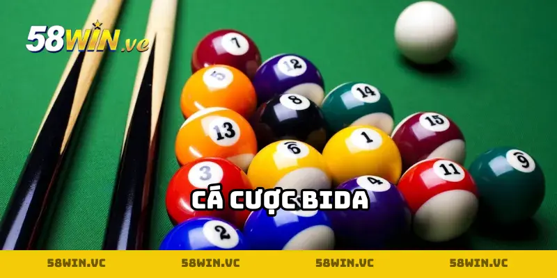 cá cược Bida