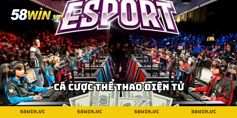 Cá cược thể thao điện tử tại 58win