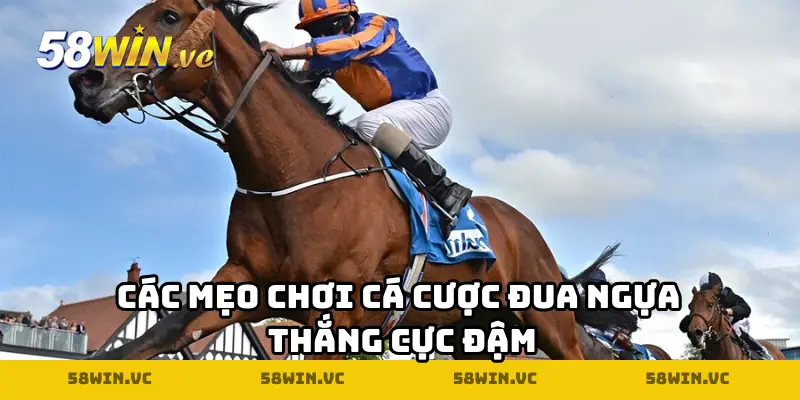 Các mẹo chơi cá cược đua ngựa thắng cực đậm