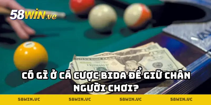 Có gì ở cá cược Bida để giữ chân người chơi?