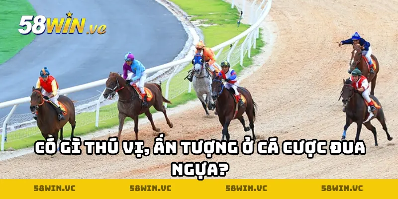 Có gì thú vị, ấn tượng ở cá cược đua ngựa?