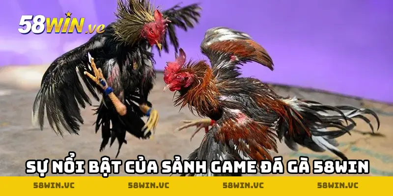 Sự nổi bật của sảnh game đá gà 58WIN